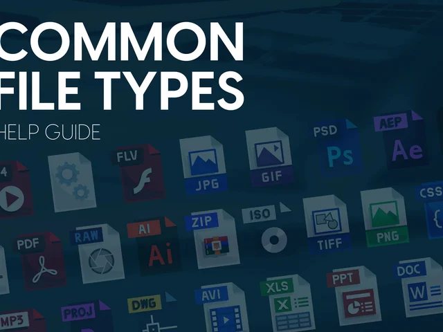 News Common File Types
