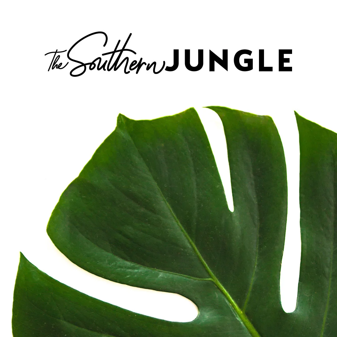 Southern Jungle 4