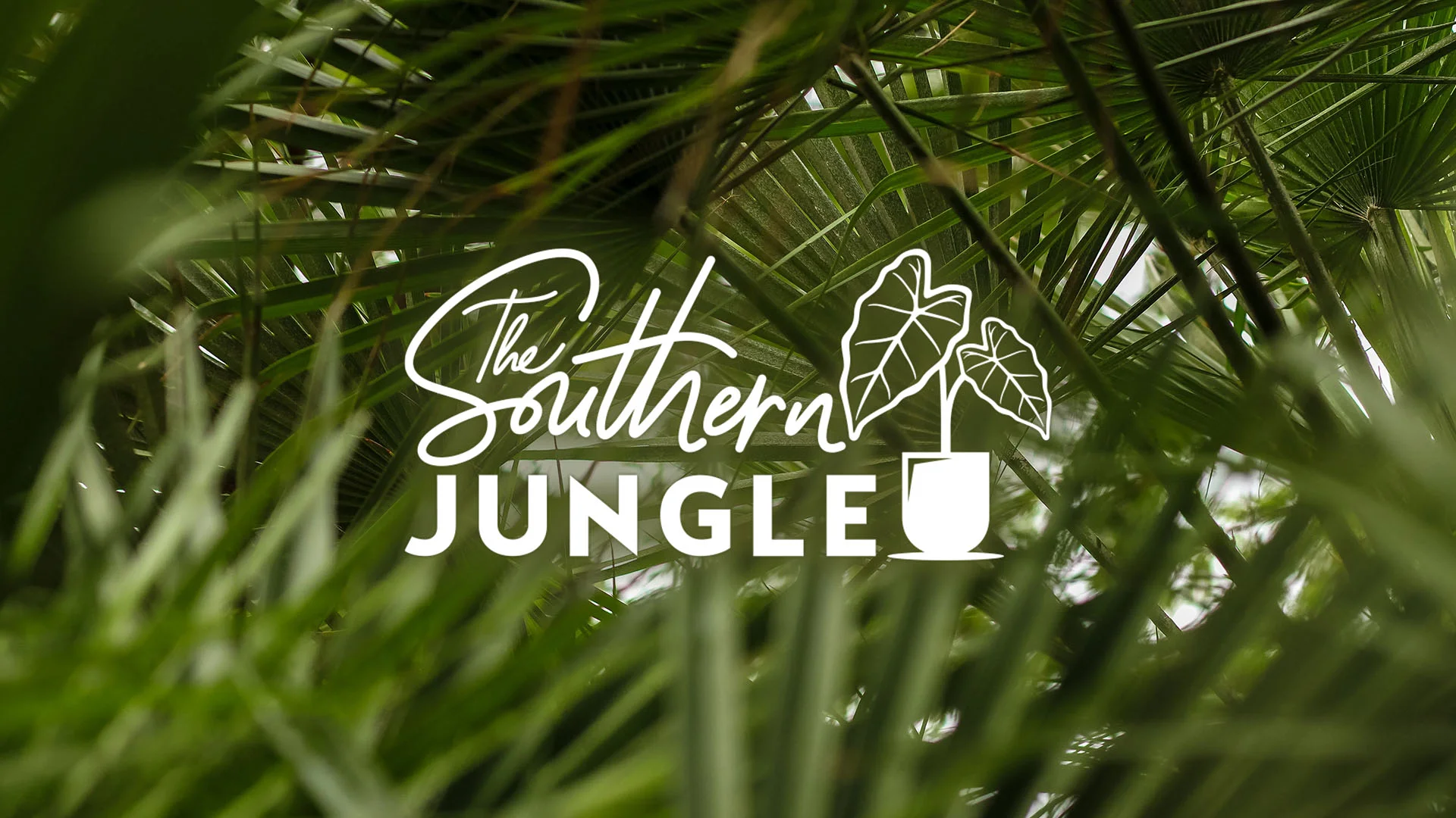 Southern Jungle 5